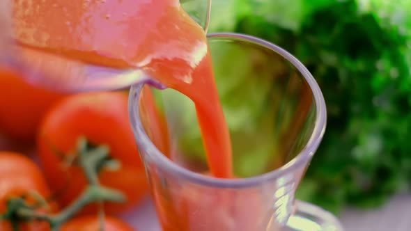 Tomato Juice with Sprig of Tomatoes on Background