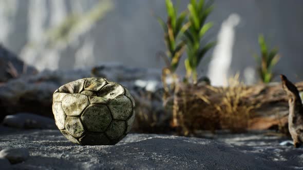 An Old Torn Soccer Ball Thrown Lies on Sand of Sea Beach