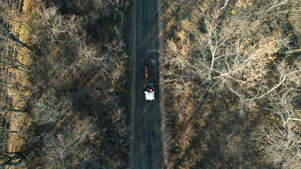 Aerial Drone View Flight Over Horsedrawn Cart with People and White Full Bags