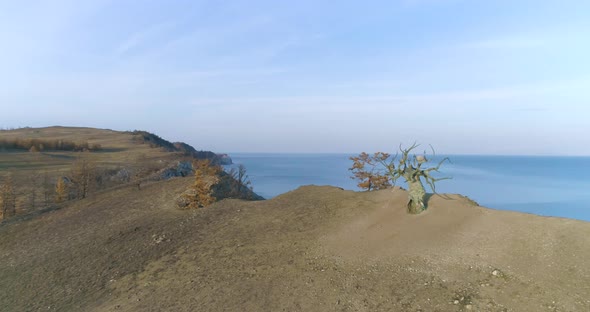 Panorama of Olkhon Island Baikal in Summer Time Baikal Keeper Tree