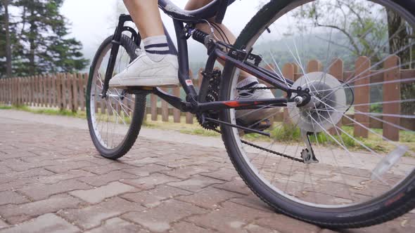 A Cyclist Rides Along the Forest Road.