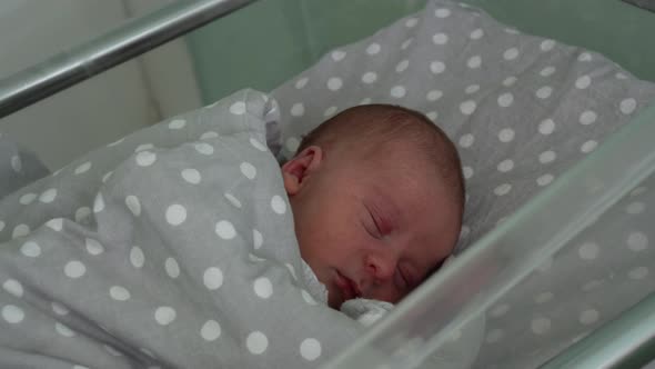 Newborn Baby Red Cute Face Portrait Early Days Sleeping In Medical Glass Bed On Grey Background