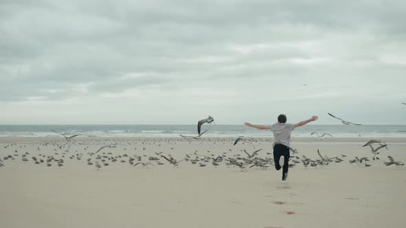 The Boy Happy Man Male Tourist Runs Along the Beach Lake Promenade and Chases Pigeons Seagulls Gulls