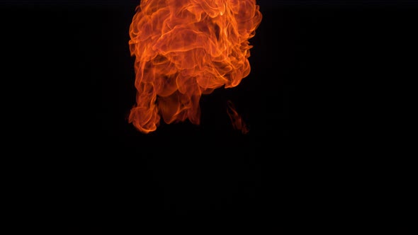 Flames on black background, ultra slow motion
