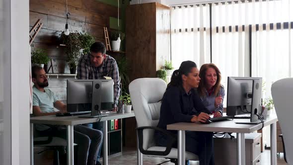 Young Team Working Hard in Their Office for Their Company