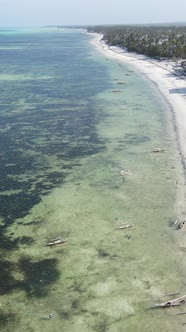 Tanzania  Vertical Video of the Ocean Near the Coast of Zanzibar Slow Motion