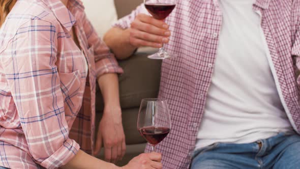 Happy Couple Drinking Red Wine at Home