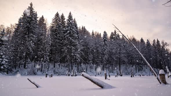 Beautiful Winter Landscape Movement of the Camera to the Left Over the Lake