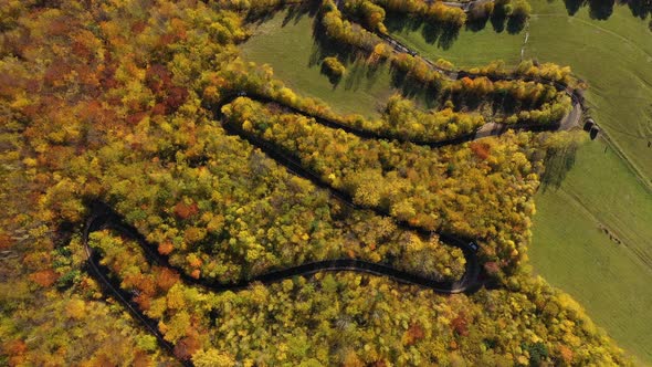 Aerial View of Autumn Forest and Serpentine Road