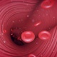 Blood Way - VideoHive Item for Sale