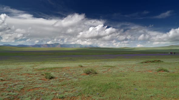 A Family Among The Flowers in the Central Asian Steppes