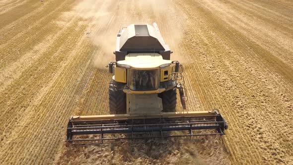 Aerial view of combine harvester harvesting large ripe wheat field. Agriculture from drone view.