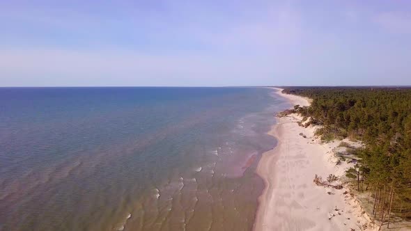 Aerial view of Baltic sea coast on a sunny day, steep seashore dunes damaged by waves, broken pine t