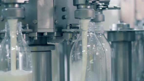 Factory Conveyor Is Spinning and Filling Bottles with Milk. Automated Process of Filling Bottles