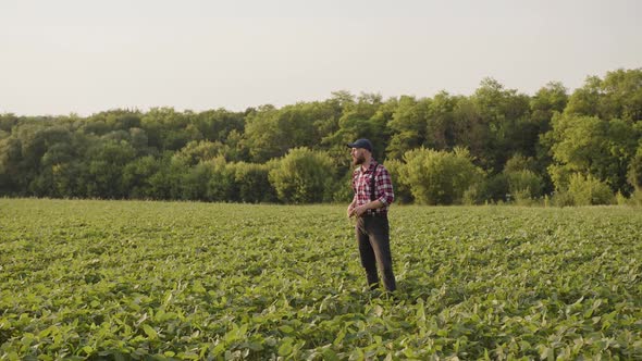 Slow Motion of a Man That Looks on His Crops