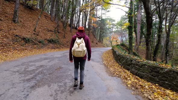Young Man Hiking in Forest in Autumn