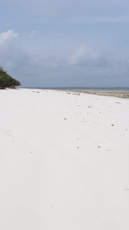 Beach on the Coast of Zanzibar Island Tanzania