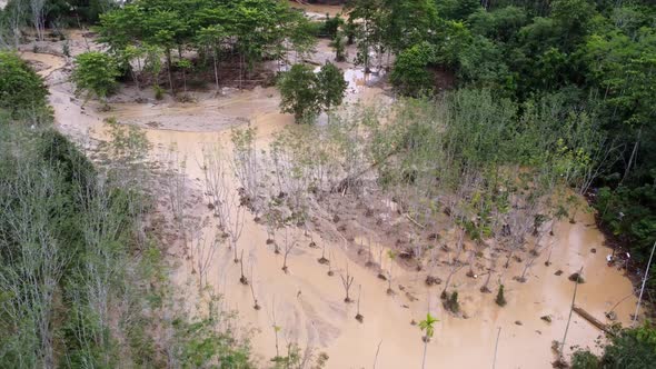 Aerial view flood at the plantation