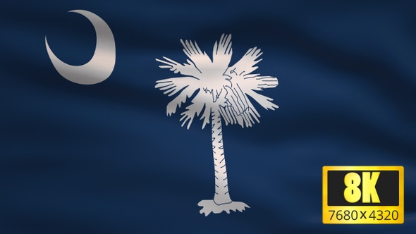 8K South Carolina State Flag Background