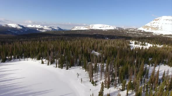 Flying view over a frozen forest in the mountains