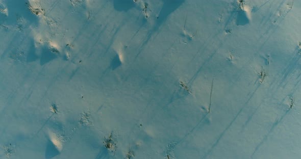 Aerial Drone View of Cold Winter Landscape with Arctic Field Trees Covered with Frost Snow and