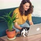 A Young Woman Working on a Laptop While Two Kittens Running Around on the Table - VideoHive Item for Sale