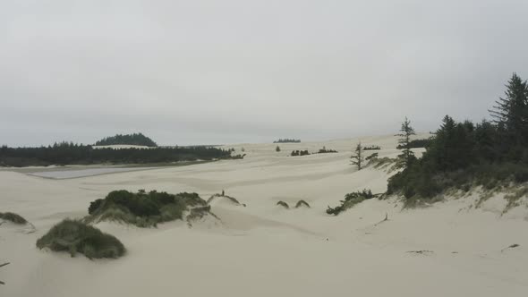 Slow tracking shot of Oregon sand dunes