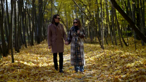 Man and Woman are Walking in Park in Autumn Day Beautiful Alley with Yellowed Trees