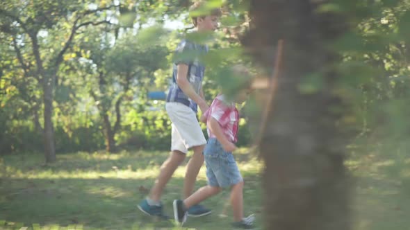 Live Camera Follows Joyful Teenage and Little Boys Running in Sunrays in Spring Park