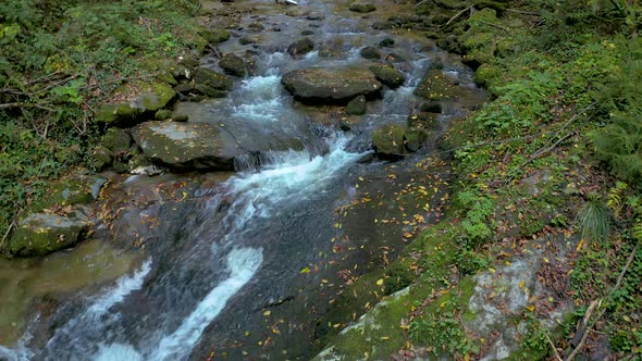 Peaceful landscape with creek flowing through green forest on daylight at Bistriski Vintgar Slovenia