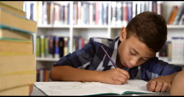 Schoolboy studying in library