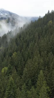 Vertical Video of Fog in the Mountains