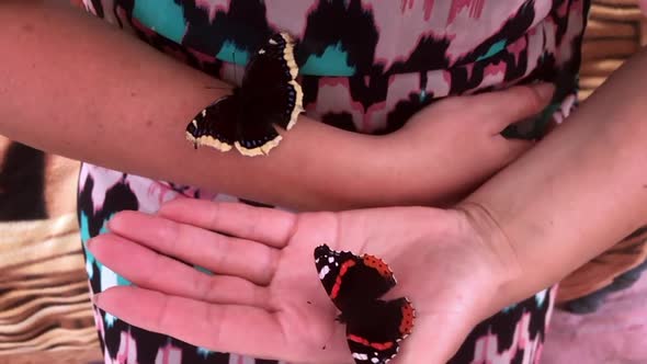 Butterfly Mourner And Admiral Are Sitting In The Hands Of A Woman. They Flap Their Wings And Fly Awa