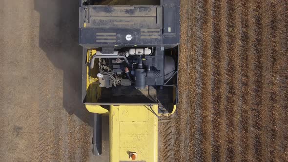 Harvesting Soybeans