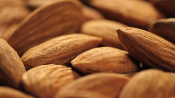 Almonds rotating close up studio