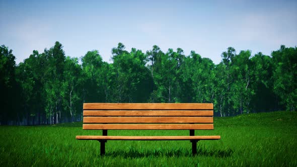 Wooden Bench On The Windy Green Grass Park At Sunny Day 4K 04(Still Shots)