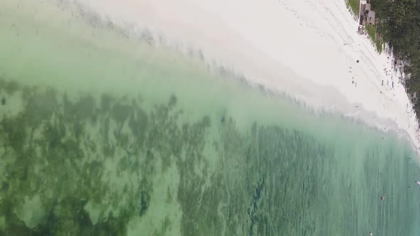 Vertical Video of the Ocean Near the Coast of Zanzibar Tanzania Aerial View