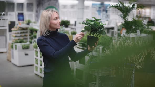 Attractive Business Woman Chooses Plastic Flowers for Her Interior