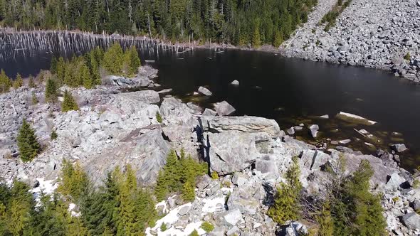 Aerial View of a Flooded Forest and Boulders Snag Lake Spire Lake on Vancouver Island