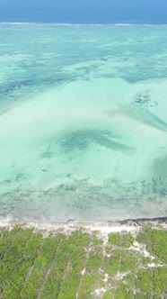 Tanzania  Vertical Video of the Ocean Near the Coast of Zanzibar Slow Motion