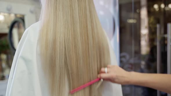 the Hairdresser Combs with a Thin Comb and Cuts the Ends of Long Beautiful Blond Hair in a Young