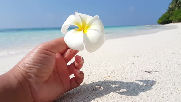 Wide angle birds eye copy space shot of a sunshine white sandy paradise beach and aqua blue water ba