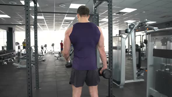 Male Bodybuilder Lifting Dumbbells in Gym