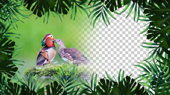 4k Frame Green Leaves Loop alt