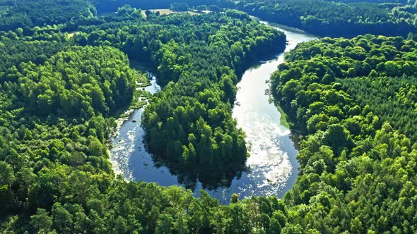 Green forest and winding river at sunrise, Poland, aerial view