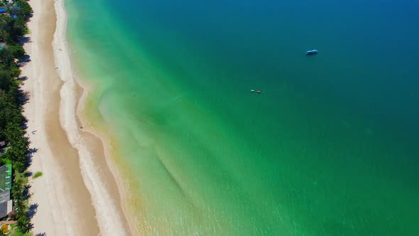 Aerial view, top view of white tropical beach with coconut trees