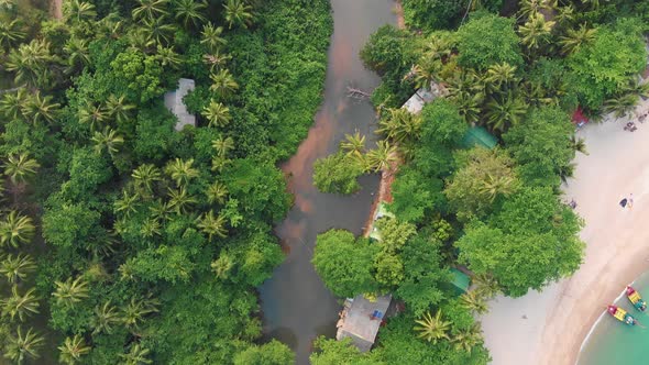 Flying Above of River in Tropical Forest