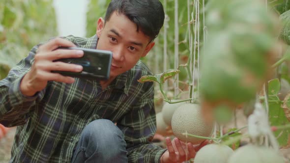 Asian Farmer Selfie With Melon In Greenhouse Melon Farm