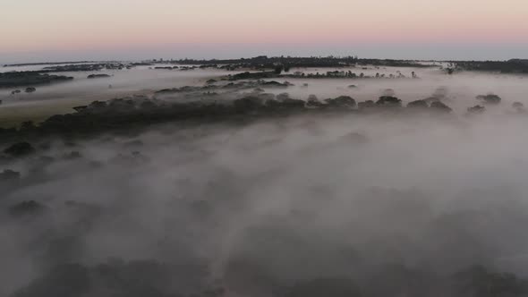 Aerial is flying backwards showing the mystical morning Savannah of Zimbabwe with a lot of fog