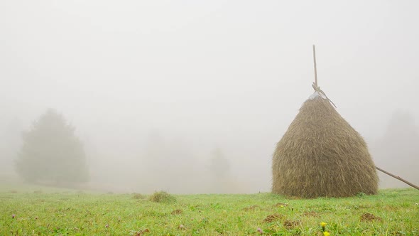 Autumn Misty Morning Agricultural Countryside Far Meadow with Large Hay Bales